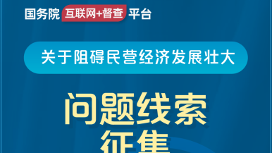 免费好逼逼国务院“互联网+督查”平台公开征集阻碍民营经济发展壮大问题线索